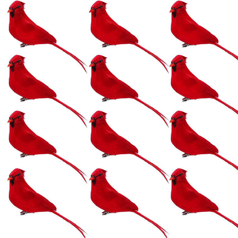 Burung Festival
