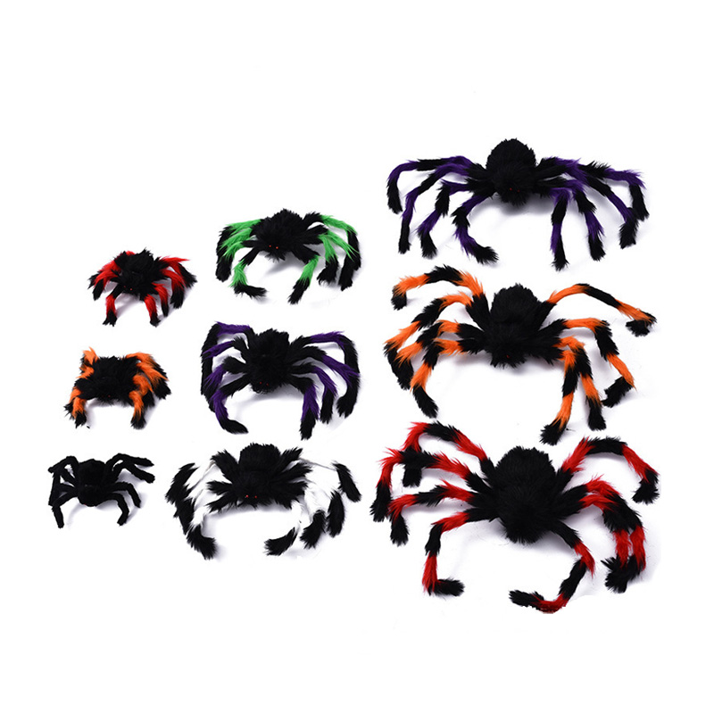 Spider berbulu yang menakutkan